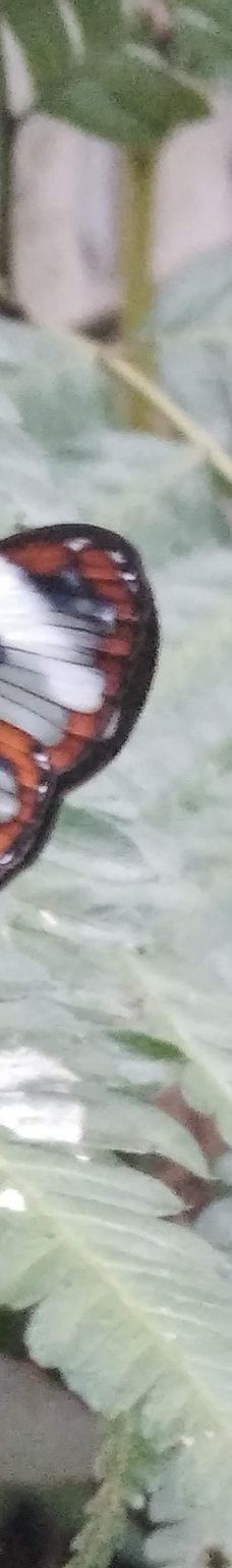 Granja La Cascada-La Frontera