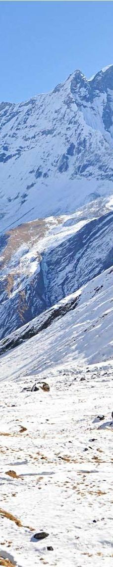 Annapurna Base Camp-卡斯基