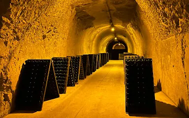 泰廷爵香檳酒莊