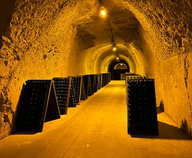 泰廷爵香檳酒莊