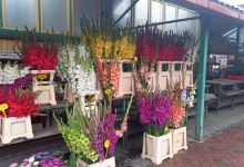 Puķu Sēta购物图片