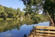 Pacolet Landing- Kayak & Fishing Pier景点图片