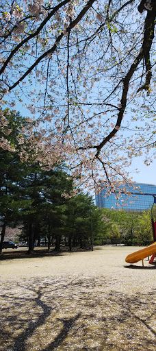 Matsugachi Park-长井市