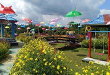 Citra Water Park景点图片