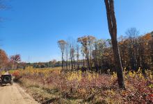 Roscommon State Forest Area景点图片