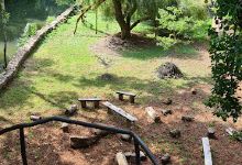 Parc Joly de Saint-Florent景点图片