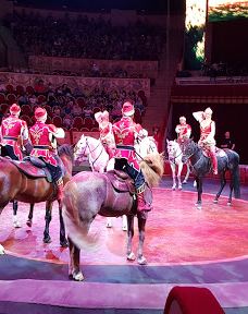 奇尼塞利马戏团-圣彼得堡