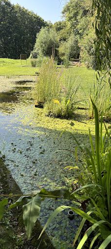 Botanical Garden-维尔茨堡