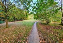 Homewood Park景点图片