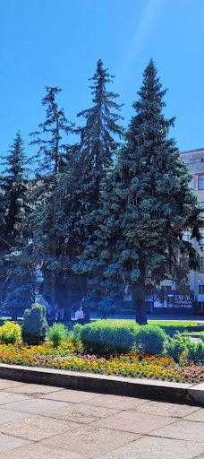 Monument to constructor Serhii Korolov-Zhytomyrs'ka city council