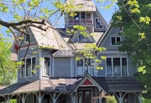 Davis Park景点图片