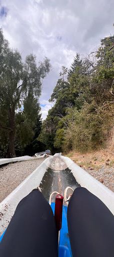 Parque Ecoturistico Cerro Viejo-圣卡洛斯-德巴里洛切