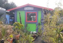 The Niche Nursery购物图片