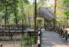 Lao Zoo景点图片