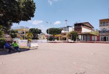 Praça Arara-azul-de-lear景点图片