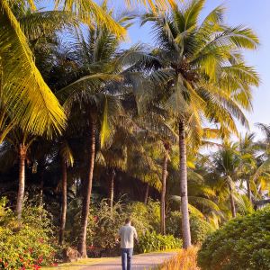 Dongshan Island