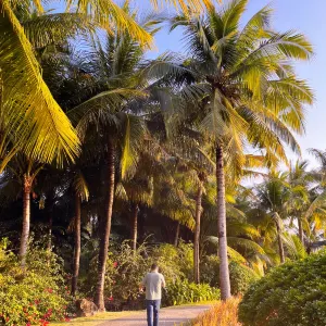 Dongshan Island