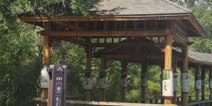 濕地古楊風景區-觀景長廊