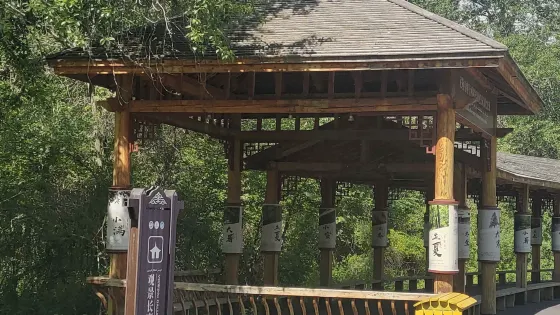 濕地古楊風景區-觀景長廊