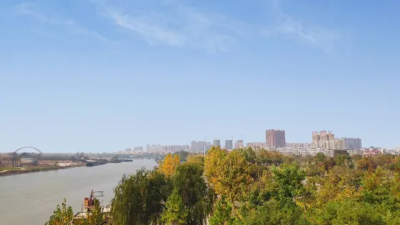 椿櫻公園