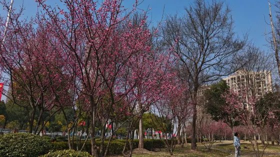 無為水景公園