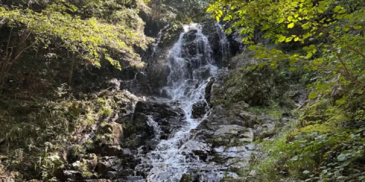 目連山森林公園大峽谷