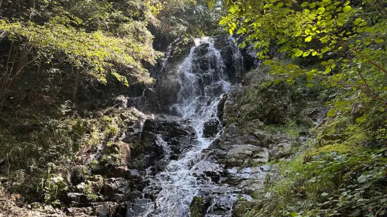 目連山森林公園大峽谷