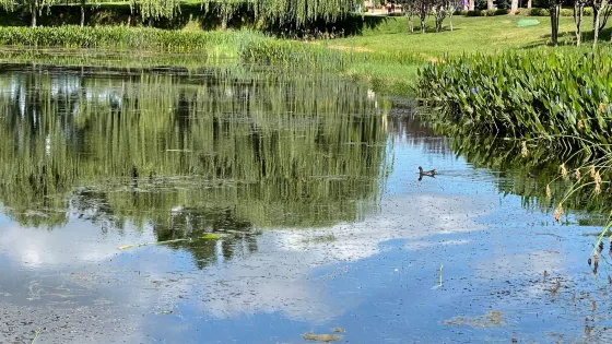 徐家沖水庫