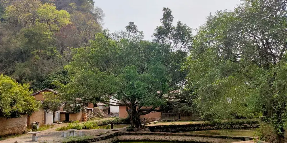 永安旅遊