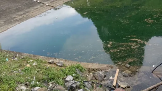 鳳山水庫