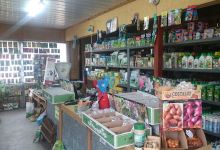 Sklep Ogrodniczy Magnolia购物图片
