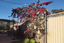 Chácara Vó Mary景点图片