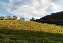 Bosco di Monte Matteo景点图片