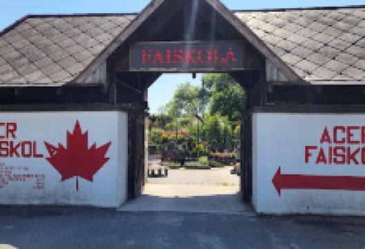 Gazdabolt KKT Acer Faiskola购物图片