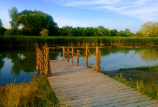 Kistói játszótér景点图片