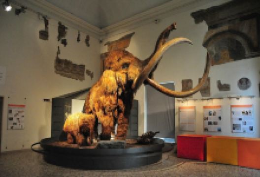 Civic Museum of Natural Sciences in Bergamo景点图片