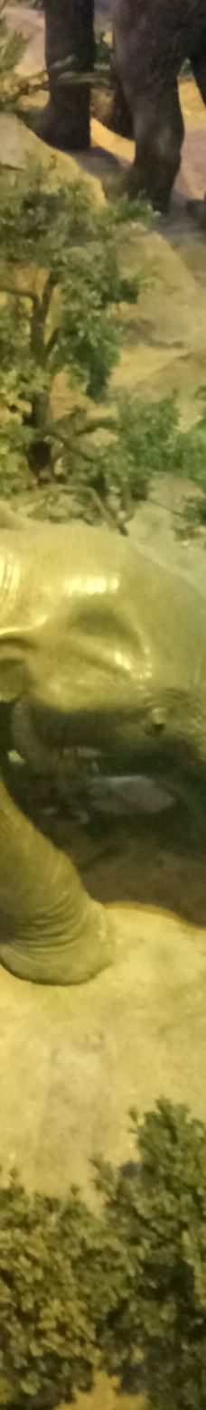 国油科学探索馆-吉隆坡