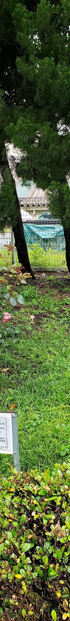 Verny Park-横须贺市