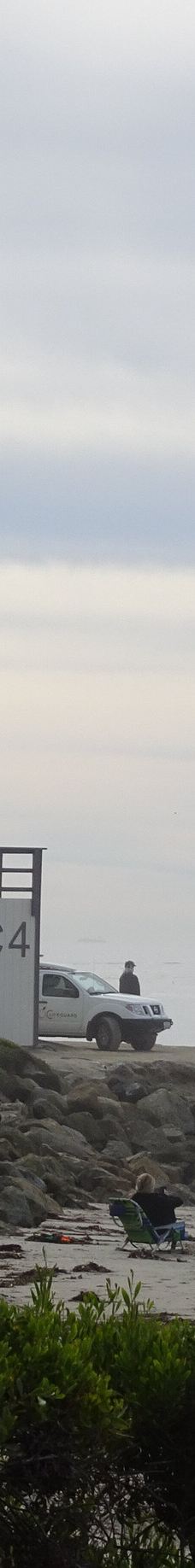 Salt Creek Beach-达纳点