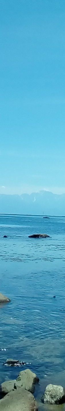 雨晴海岸-高冈市