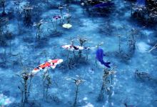 莫内之池景点图片