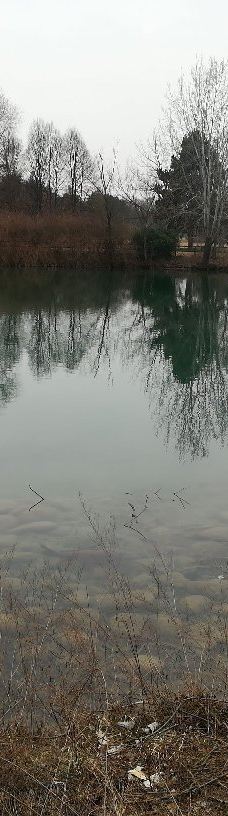 Parco della Pellerina-都灵