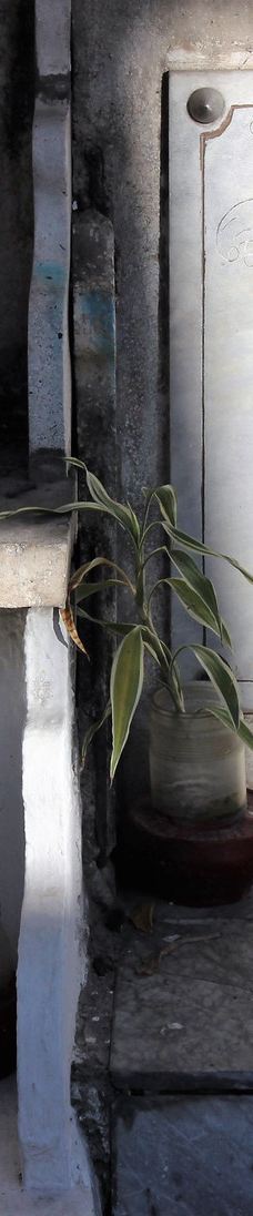 华侨义山-马尼拉市