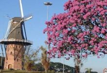 Moinho Povos Unidos景点图片