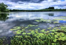 Ooms Conservation Area景点图片