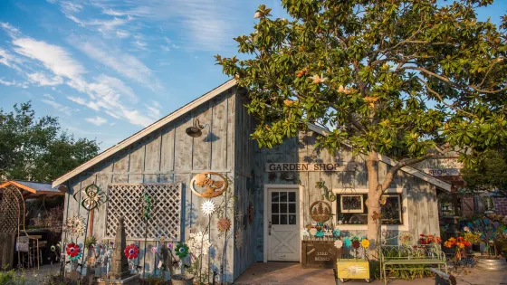 Cambria Nursery and Florist