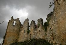 Castle de Roussillon景点图片