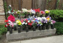 St. Ann Cemetery景点图片