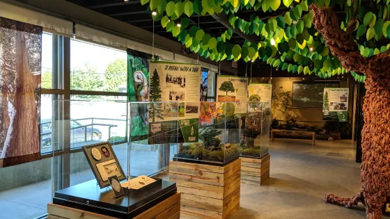 PoCo Heritage Museum and Archives