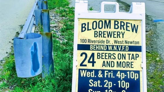 Bloom Brew